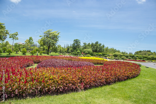 Tableau sur toile flower park, floewr garden, decoration garden
