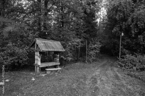 Abandoned buildings in the forest.In the black and white version © strannik_fox