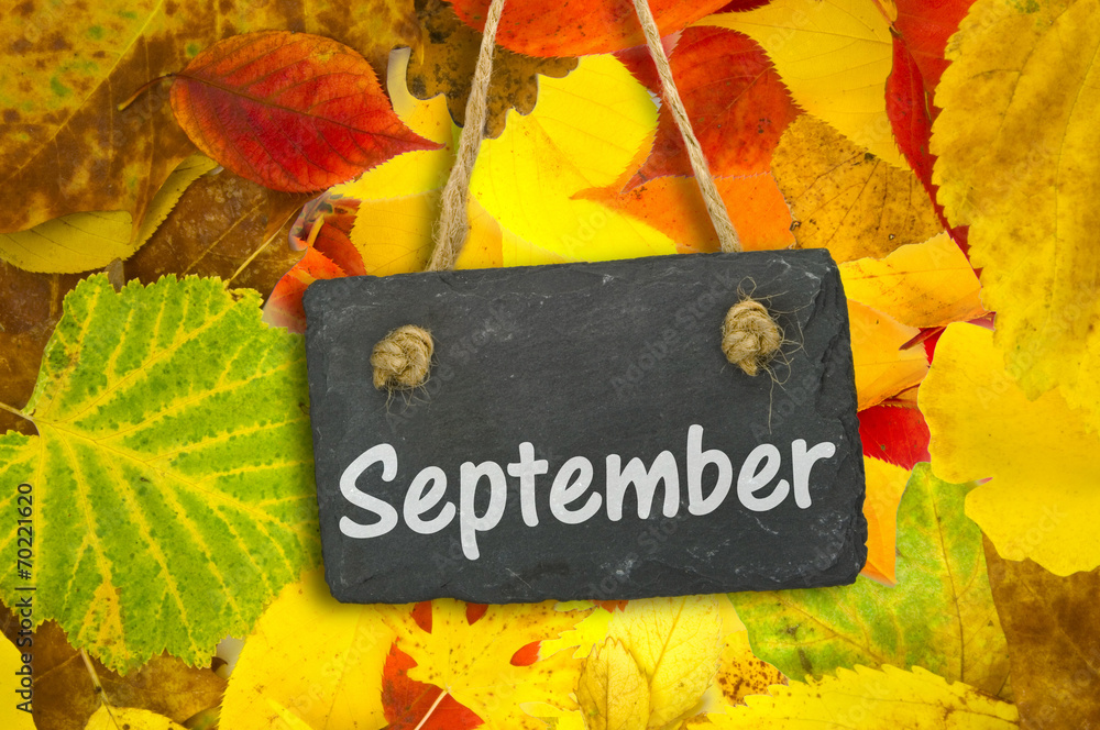 Naklejka premium September