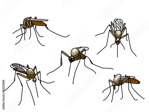 biting mosquitoes