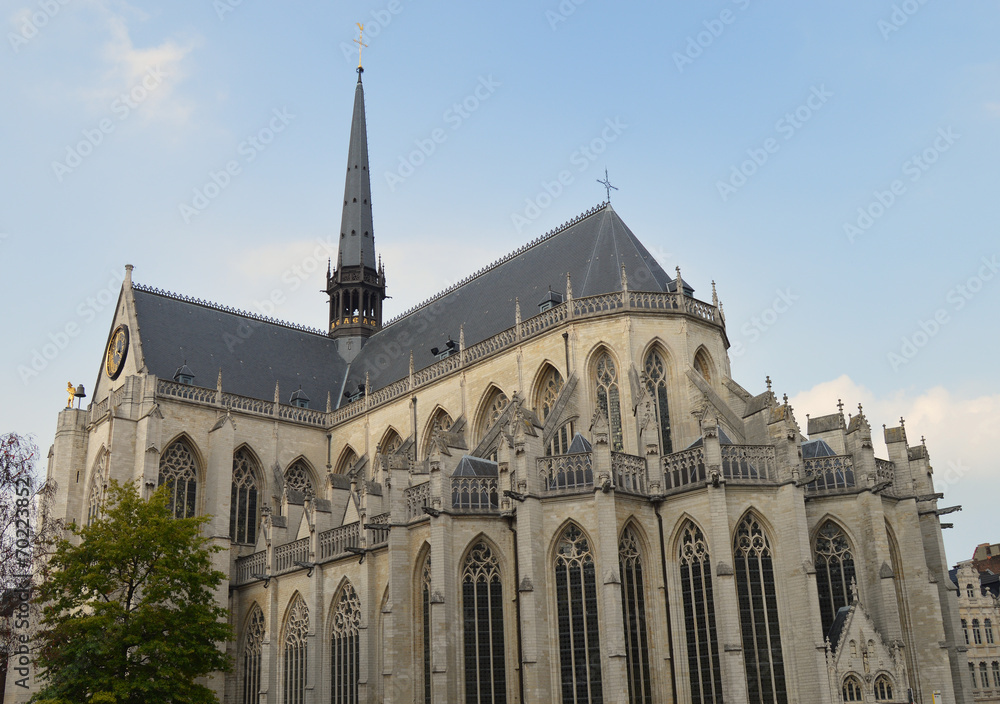 Cathedral of Saint Peter in Leuven Belgium