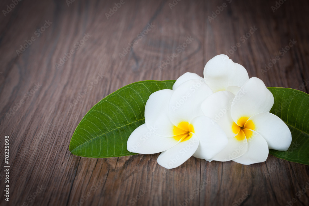 Flowers Plumeria on dark wood background Flowers Plumeria on dark wood background