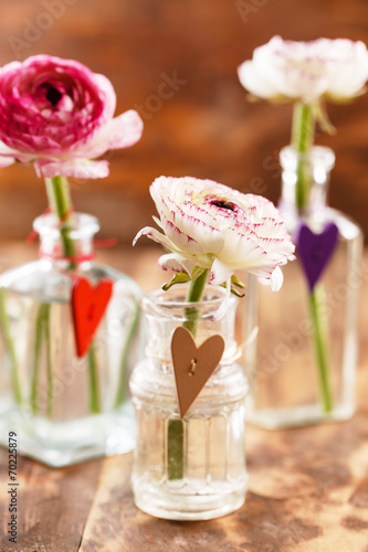 ranunculus in vase