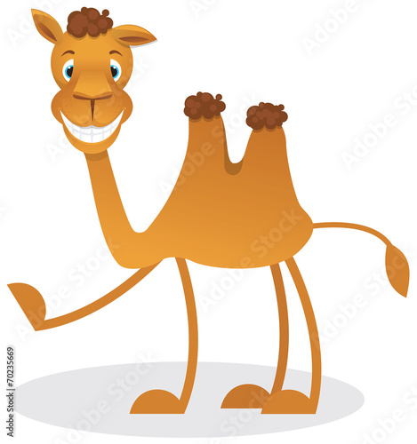 Cartoon camel