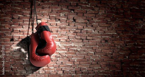 Boxing gloves © Sergey Nivens