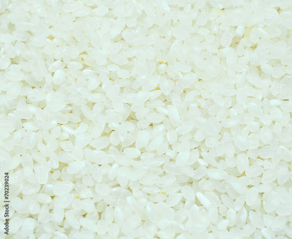 japanese rice japanese rice