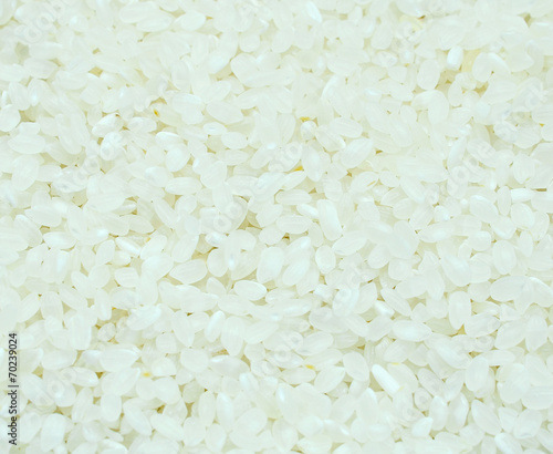 japanese rice
