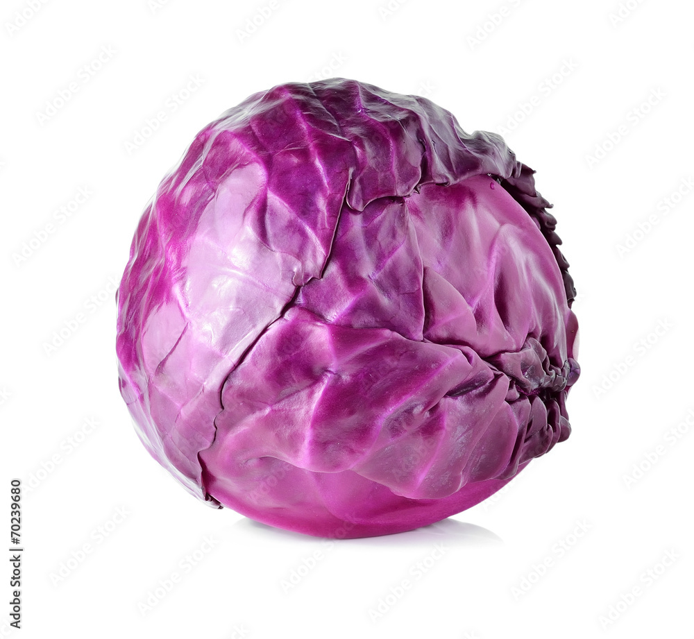 head of red cabbage on a white background head of red cabbage on a white background