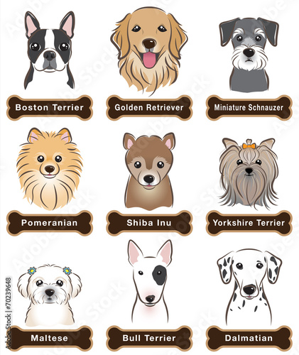 Dog / Nameplate