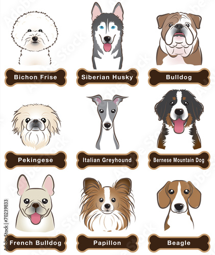 Dog / Nameplate