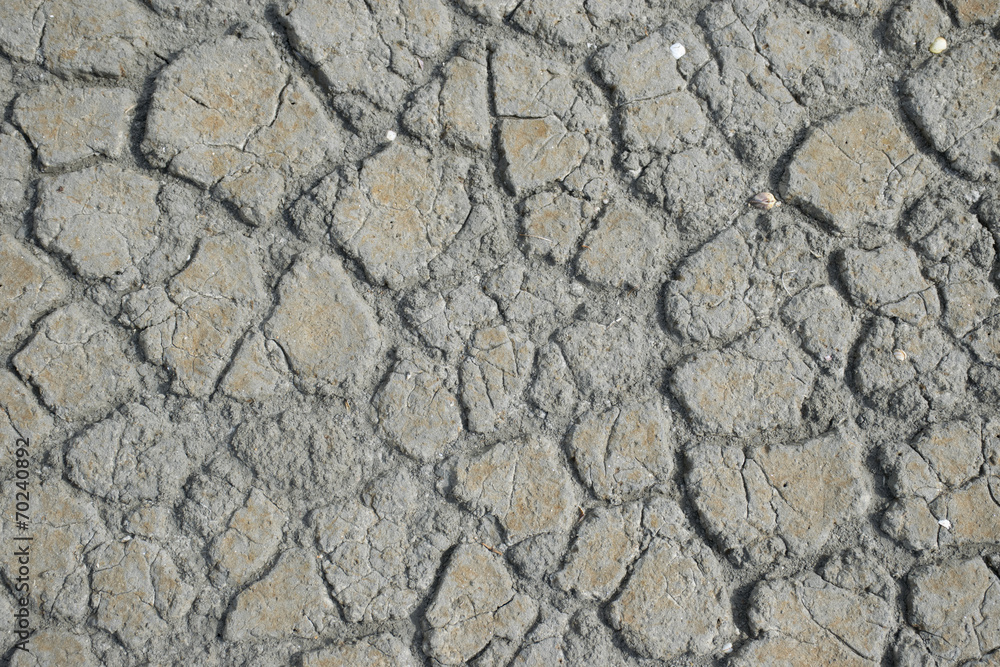 Fototapeta premium Siccità