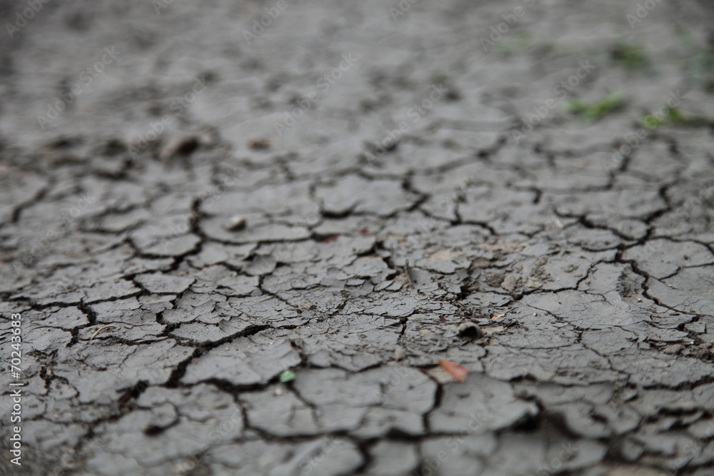Fototapeta premium Cracked soil ground into the dry season
