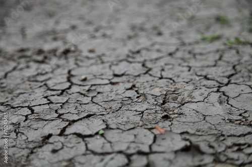 Cracked soil ground into the dry season