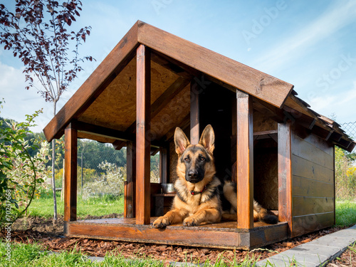 German shepherd in its kennel
