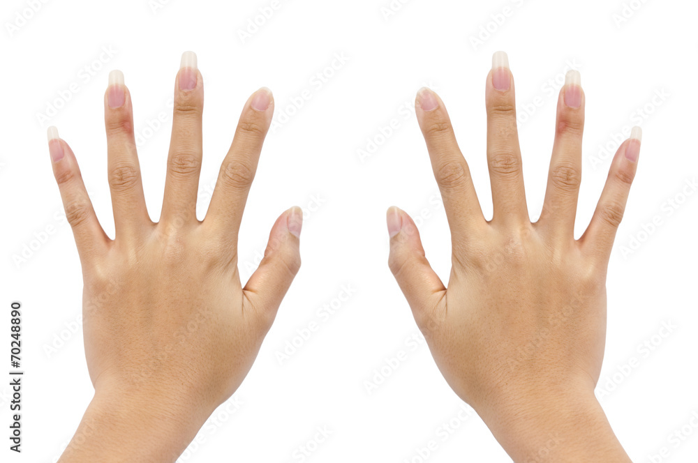 Two hand of a woman on white background Two hand of a woman on white background