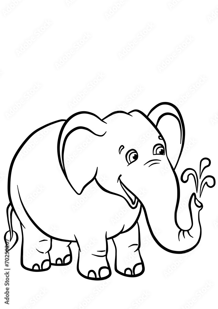 Fototapeta premium Elephant playing with water