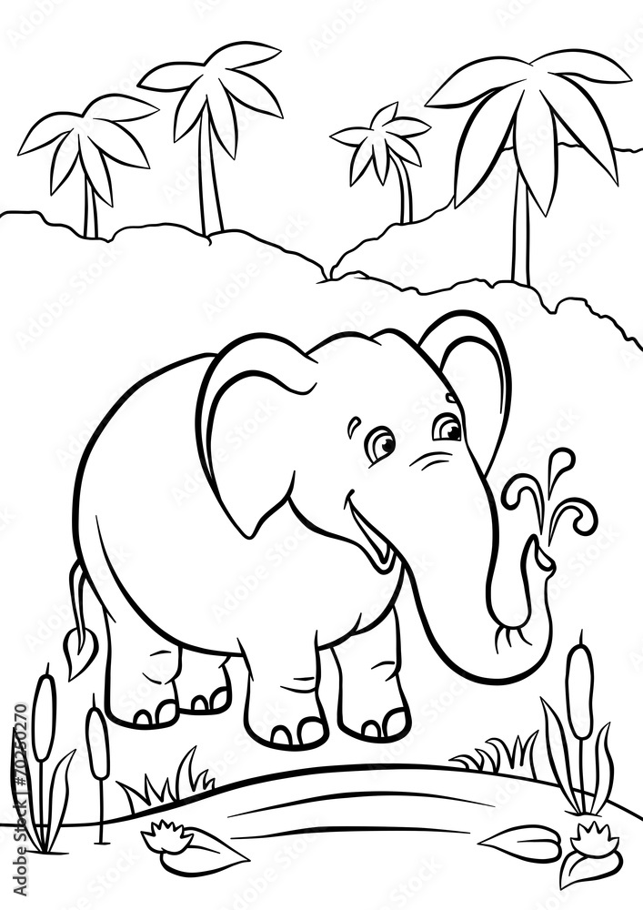 Fototapeta premium Elephant playing with water