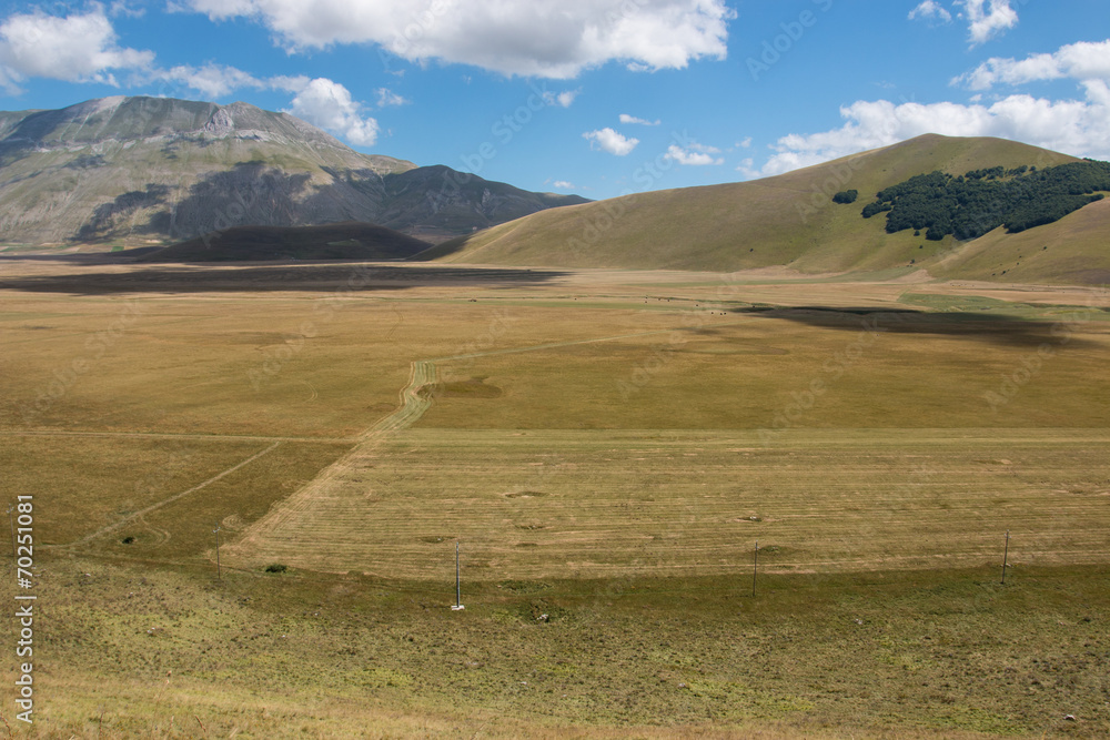 piana di Castelluccio di Norcia - Monti Sibillini piana di Castelluccio di Norcia - Monti Sibillini