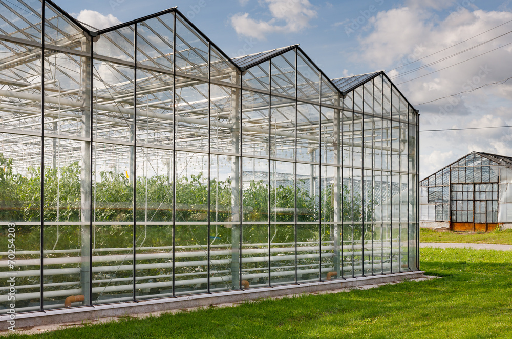 greenhouse vegetable production greenhouse vegetable production