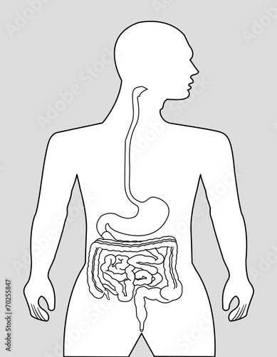 gastrointestinal