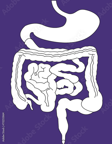 gastrointestinal