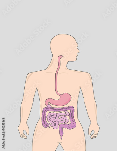 Gastrointestinal