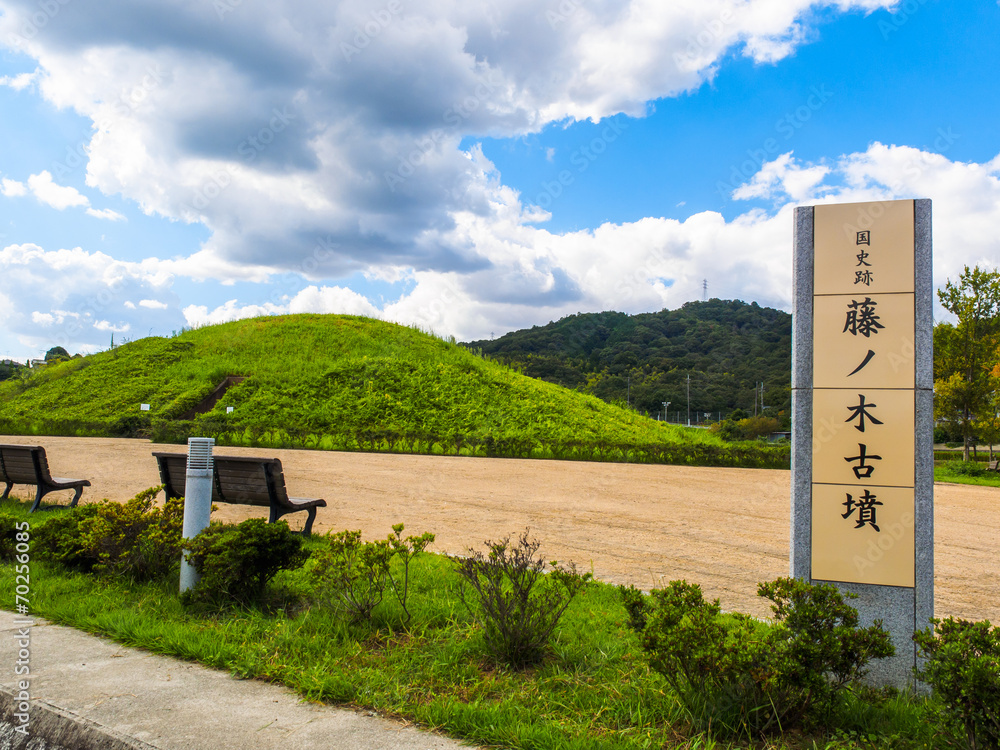 藤ノ木古墳」の写真素材 | 25件の無料イラスト画像 | Adobe Stock