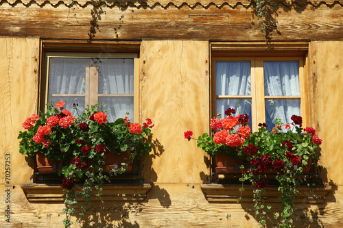 ventanas © fotoXS