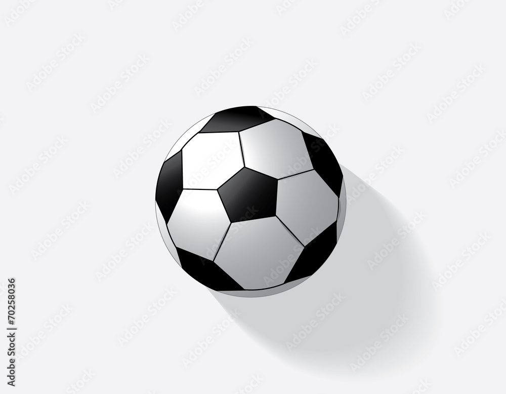 Fototapeta premium soccer