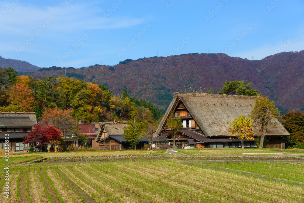 Historic Village of Shirakawa-go in autumn Historic Village of Shirakawa-go in autumn