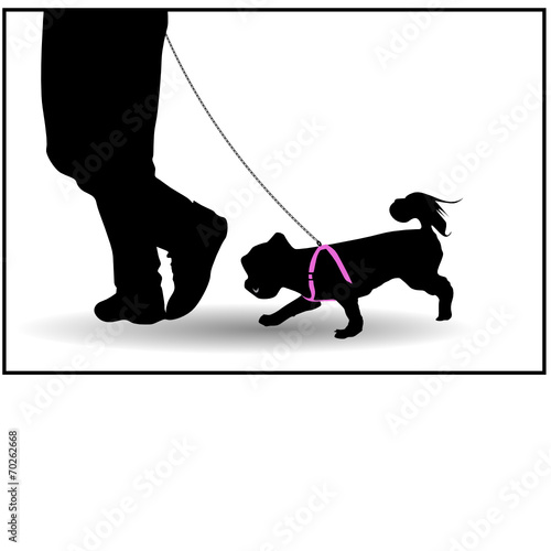 A man walking his dog on a leash