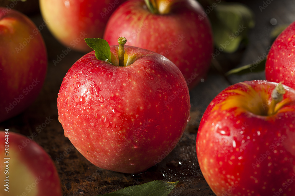 Raw Organic Red Gala Apples Raw Organic Red Gala Apples