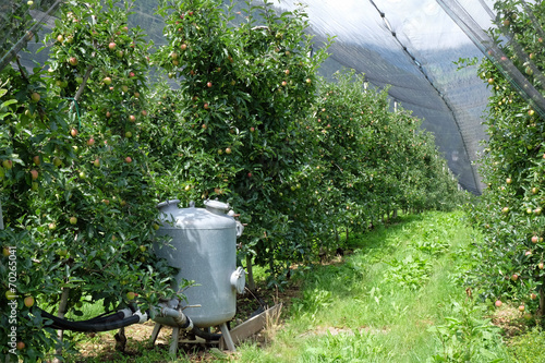 Wasserverteilung Obstplantage