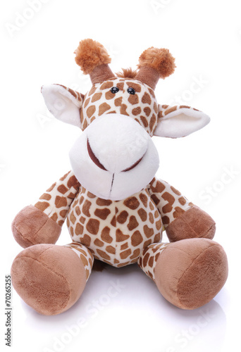 Plush giraffe on white background