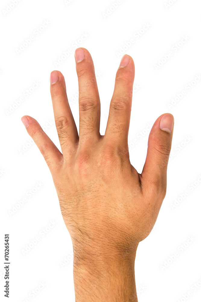 Man hand isolated on white background Man hand isolated on white background