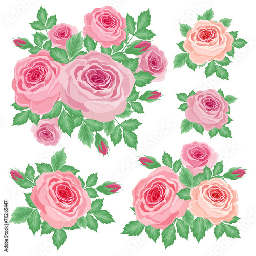 Set of roses