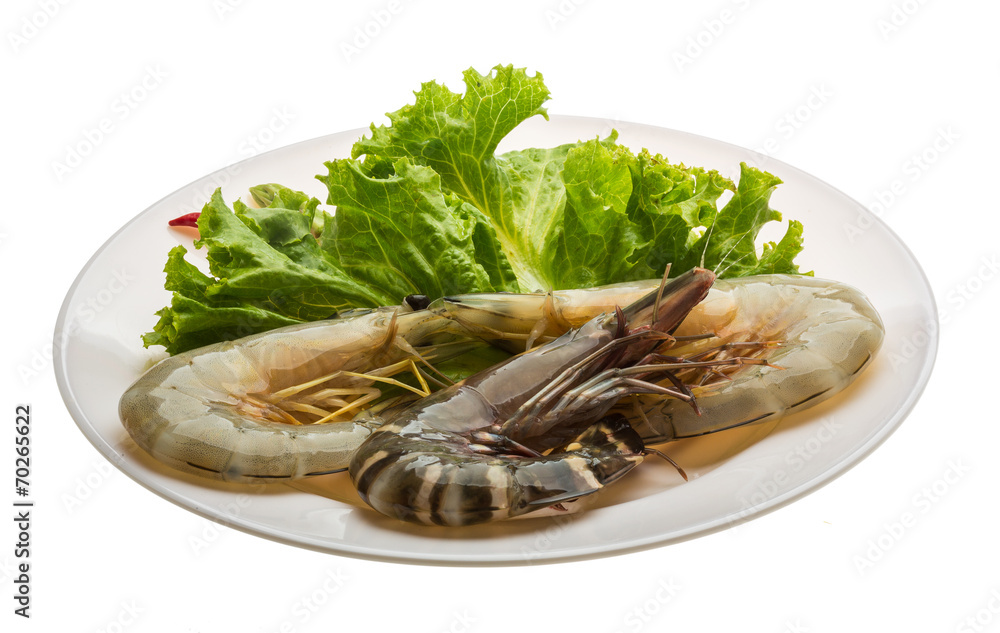 King and waterleg shrimps King and waterleg shrimps