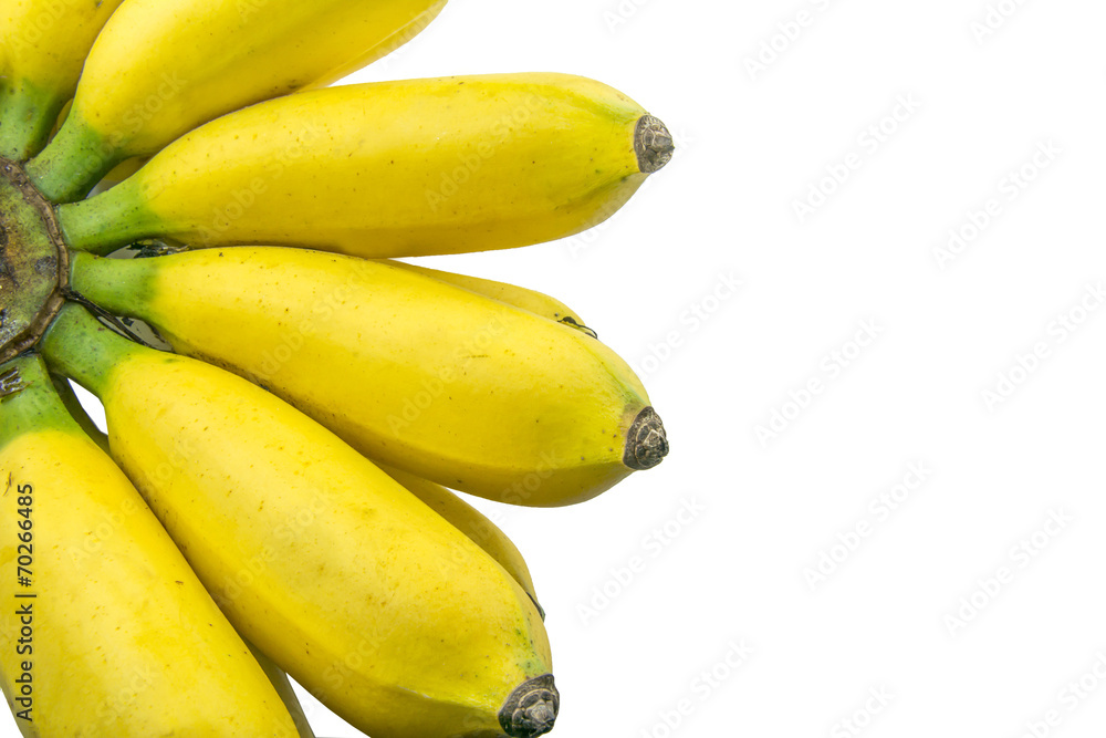 bananas on white background bananas on white background