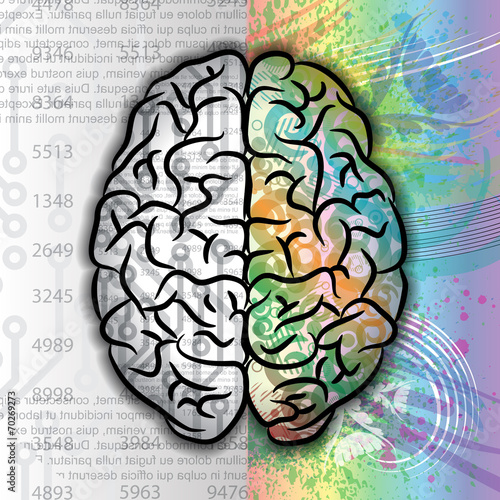 Human brain color pattern