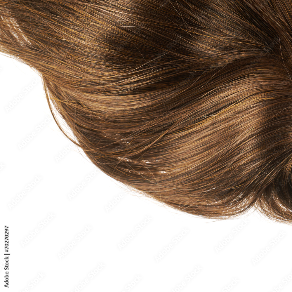 Hair fragment over the white Hair fragment over the white