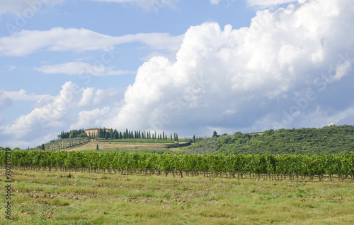 Typical Italy Tuscan landscape