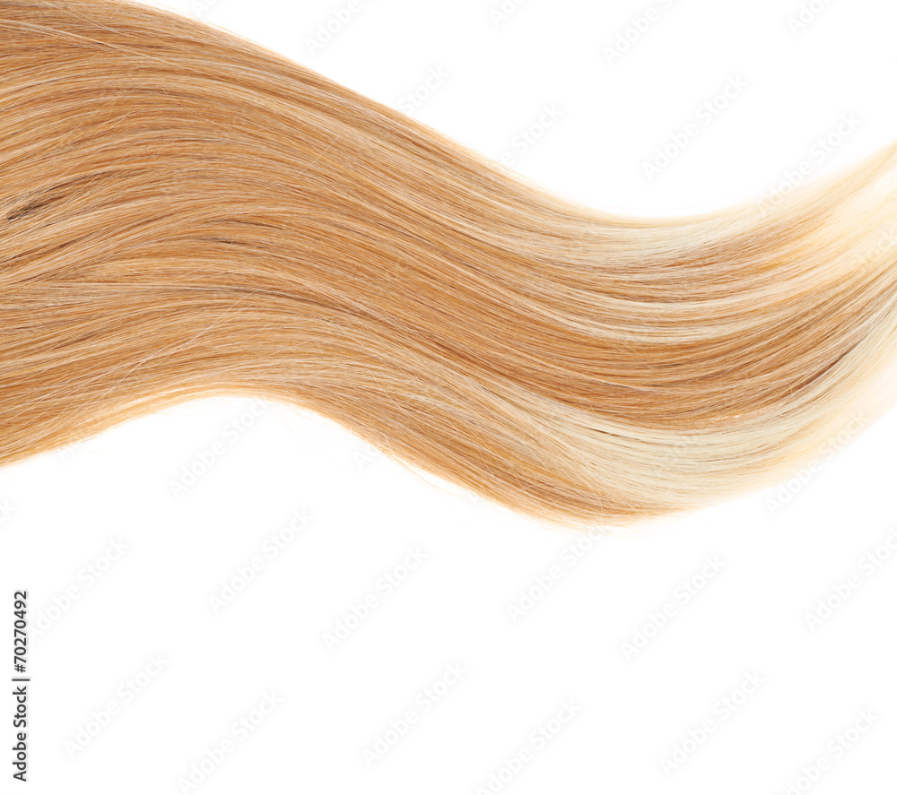 Hair fragment over the white Hair fragment over the white