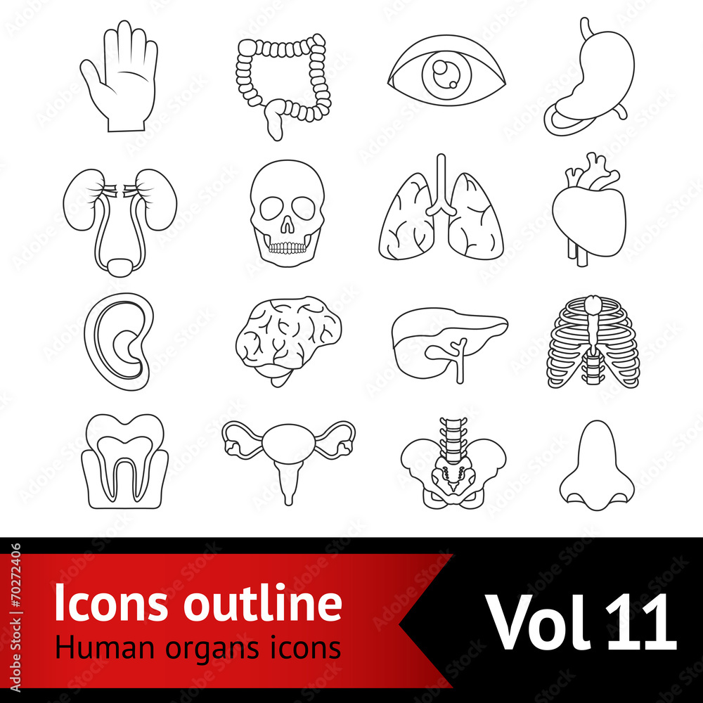 Human Organs Icons Set Human Organs Icons Set