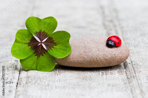 four leaf clover and ladybug with stone on wood
