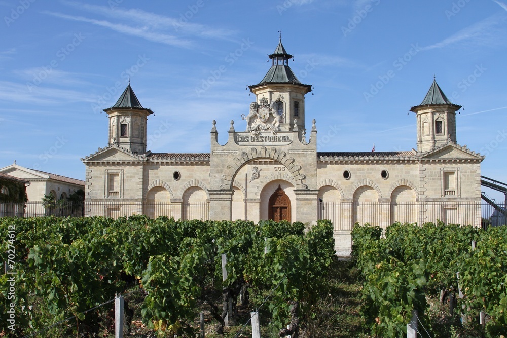 château du vignoble bordelais