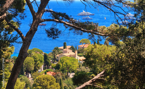 Bild auf Leinwand Aerial view of Cap Ferrat, French Riviera