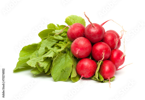 radish isolated