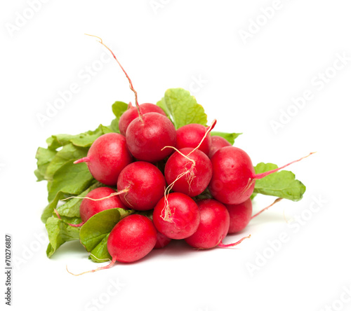 radish isolated