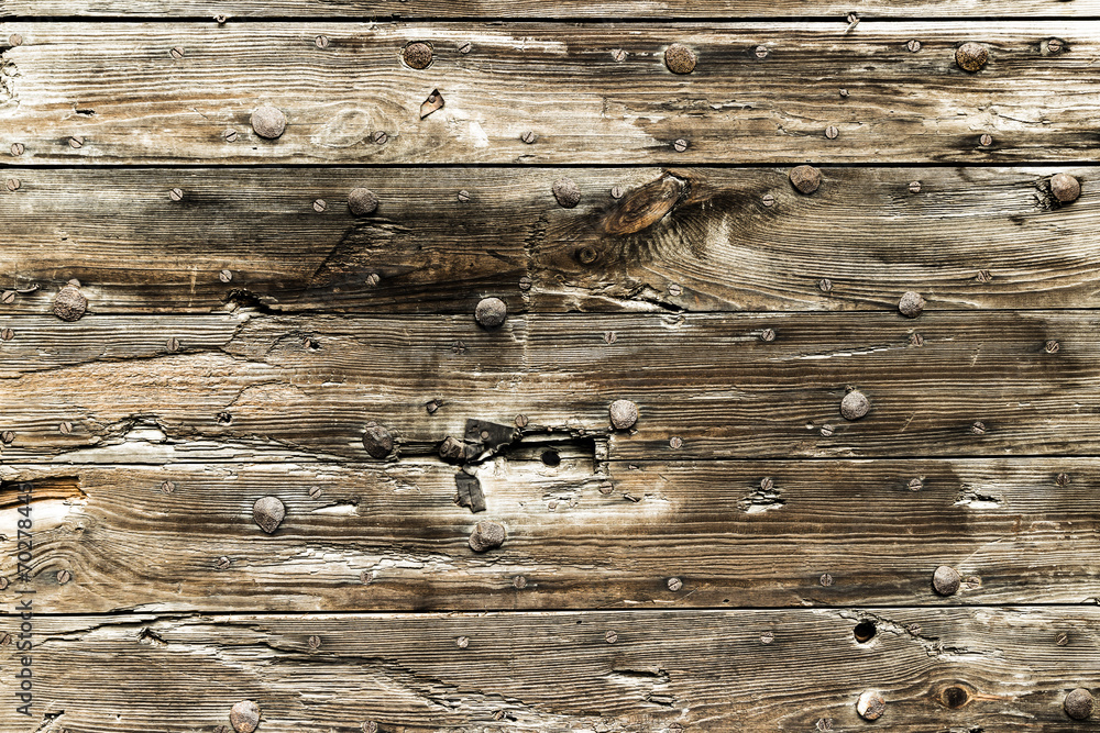 Naklejka premium The old wood texture with natural patterns
