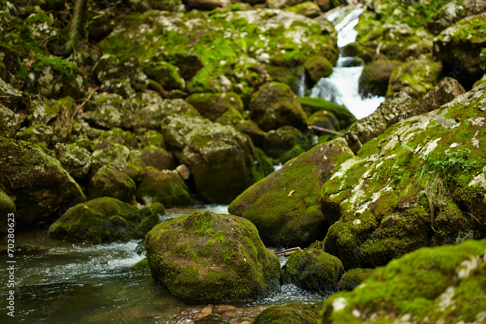 River in a canyon River in a canyon